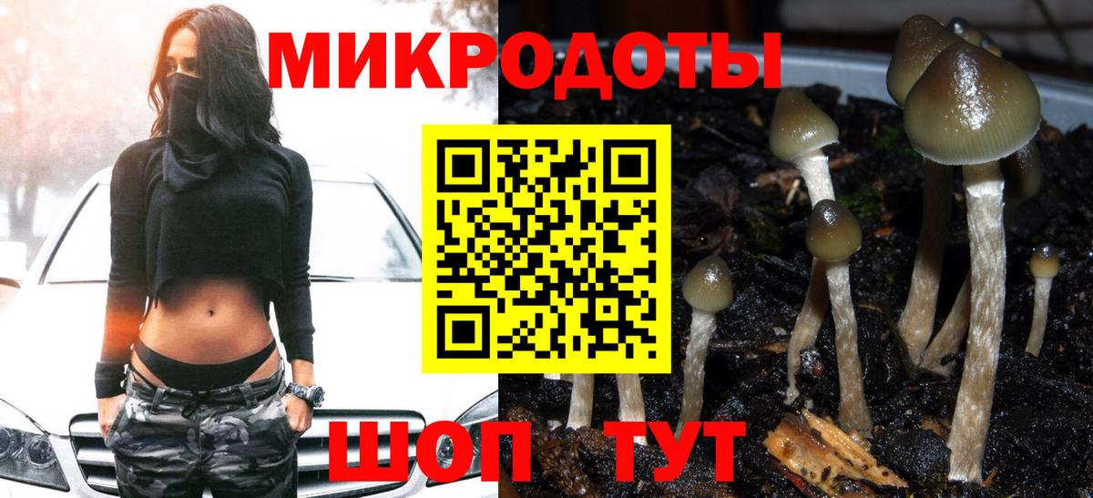 Псилоцибиновые грибы Cubensis Северобайкальск