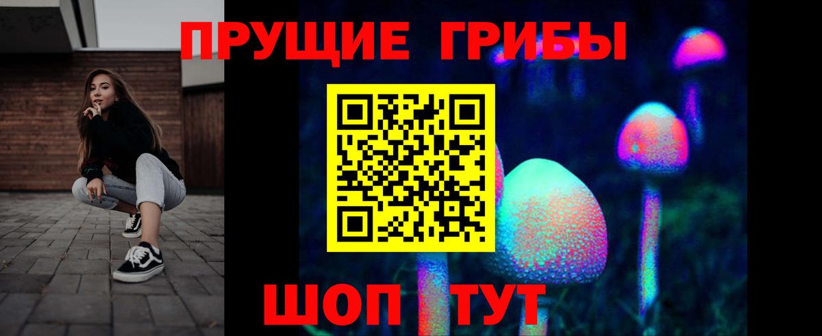 Галлюциногенные грибы Psilocybine cubensis  Вход с VPN  Псилоцибиновые грибы Psilocybine cubensis  Северобайкальск 